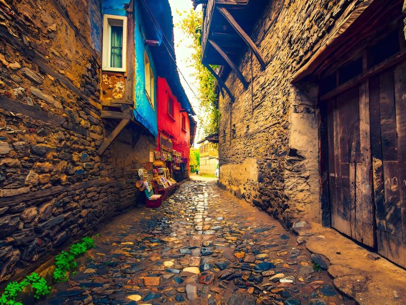 İkonik Cumalıkızık Gölyazı Trilye Turu Günübirlik İstanbul Çıkışlı