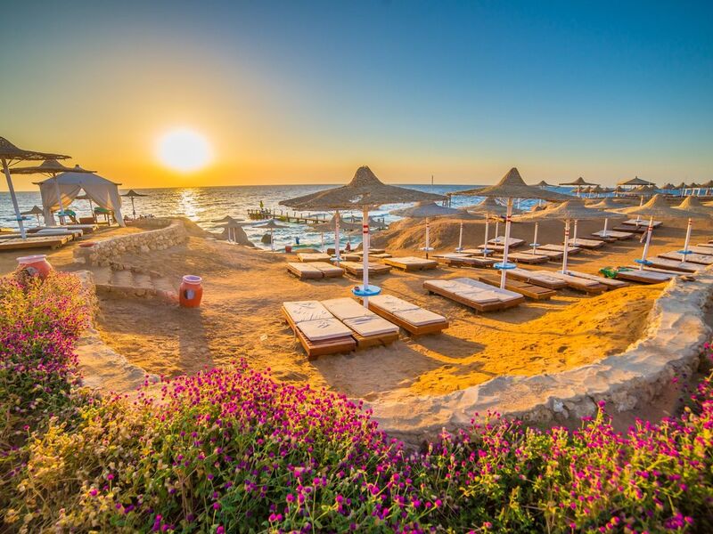 Ankara Hareketli Sunexpress İle Sharm El Sheıkh Turu 7 Gece (263)