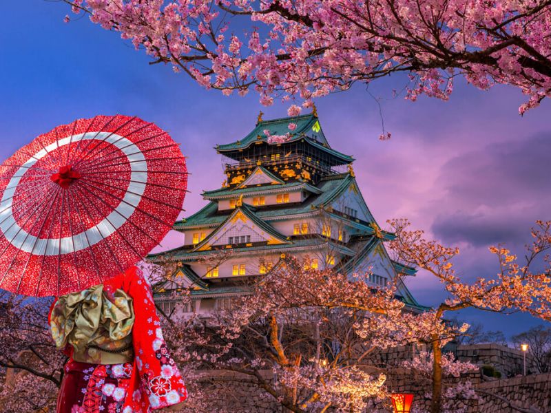 Dolu Dolu Japonya & Kore Turu Mistik Rotalar 