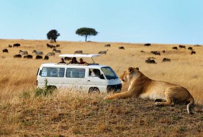 Kenya Safari Turu Air Arabia Havayolları ile Her Pazar Hareket