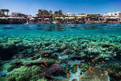  THY İle Sharm El Sheıkh Turu 6 Gece (251)