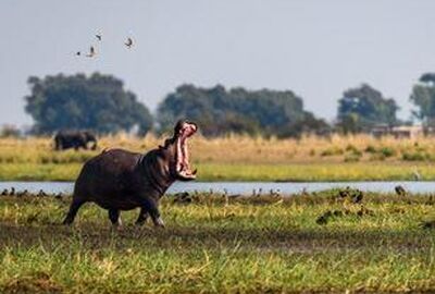 * VİZESİZ * MUHTEŞEM GÜNEY AFRİKA TURU - SÖMESTRE DÖNEMİ