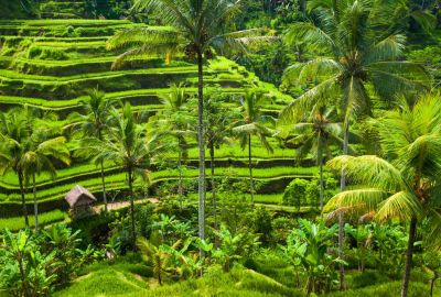 Dolu Dolu Singapur & Bali & Kuala Lumpur Turu Rotası (BIN088)