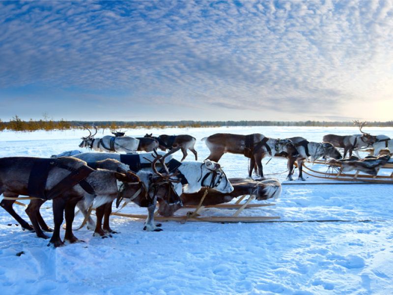Süper Promo Lapland Turu Beyaz Rotalar (3 Gece - Mustaparta Hotel) 