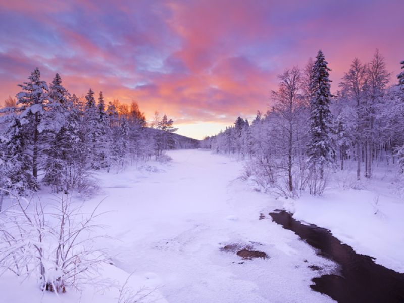 Dolu Dolu Lapland Turu Beyaz Rotalar (3 Gece - Mustaparta Hotel)