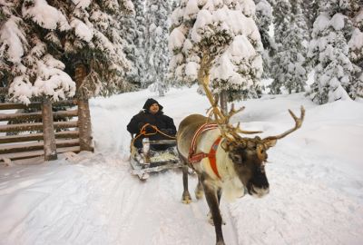 Dolu Dolu Lapland Turu Beyaz Rotalar (3 Gece - Mustaparta Hotel)
