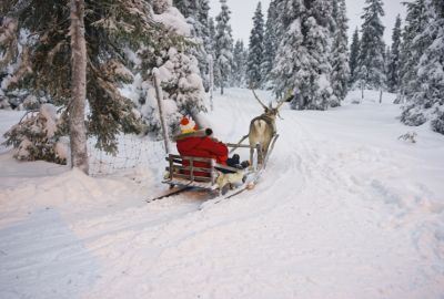 Dolu Dolu Lapland Turu Beyaz Rotalar (3 Gece - Mustaparta Hotel)