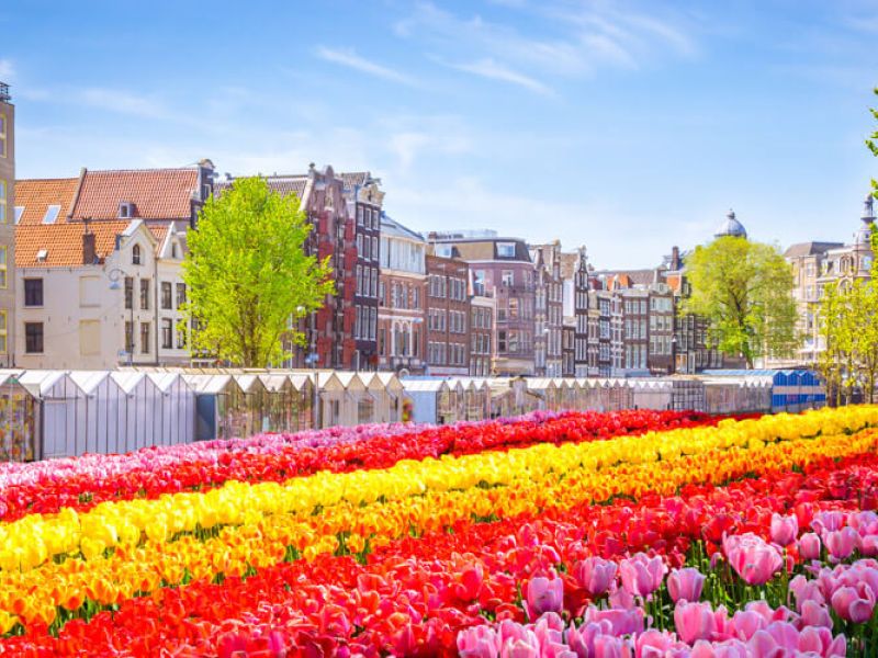 5* DELUXE AMADEUS AUREA İLE ‘’ANDRE RIEU KONSERİ & AMSTERDAM IŞIK FESTİVALİ’’