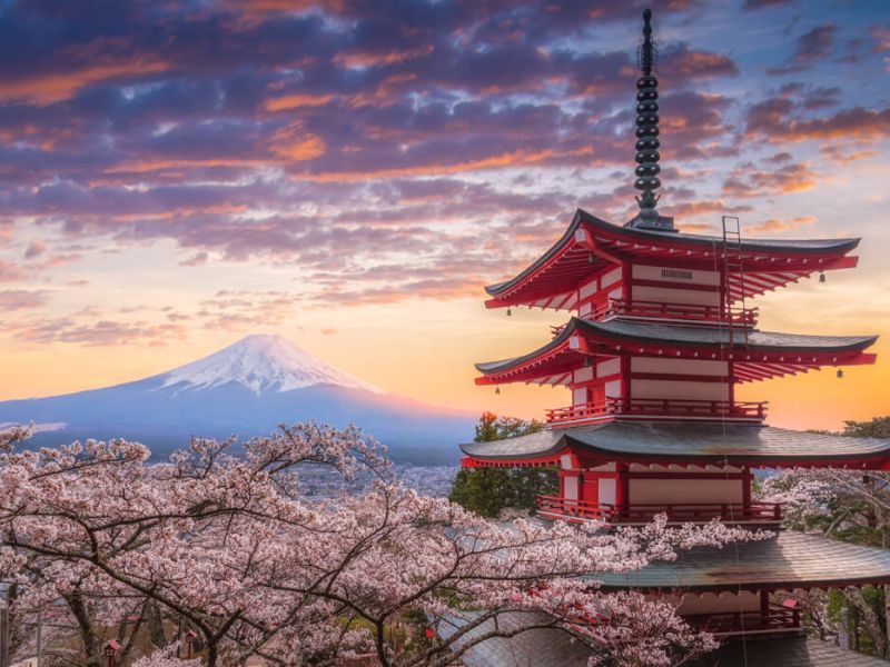 Comfort Japonya Turu Türk Hava Yolları ile 7 gece Ekstra Turlar ve Çay Seremonisi Dahil Yaz Dönemi KIX NRT YAZ DÖNEMİ - Sabah Dönüş Uçuşu