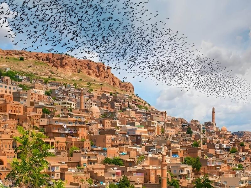 Uçaklı Butik Şanlıurfa Mardin Diyarbakır Turu / 2 Gece Otel Konaklamalı / Ankara Çıkışlı