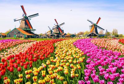 Maxi Benelux & Paris & Alsace Ajet Havayolları ile 7 Gece 8 Gün CGN-BSL FL001