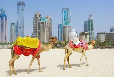 Dubai | 3 Gece  FlyDubia