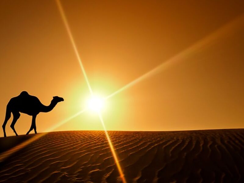 BİR DUBAİ MASALI TURU  DUBAİ ŞEHİR TURU VE ABRA GEÇİŞİ DAHİL 4 Gece / 6 Gün Ajet Havayolları ile