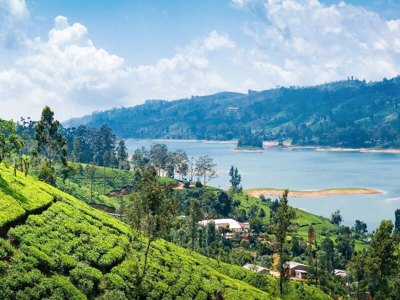 Sri Lanka Turu Air Arabia İle  Her Pazar Hareket 7 Gece