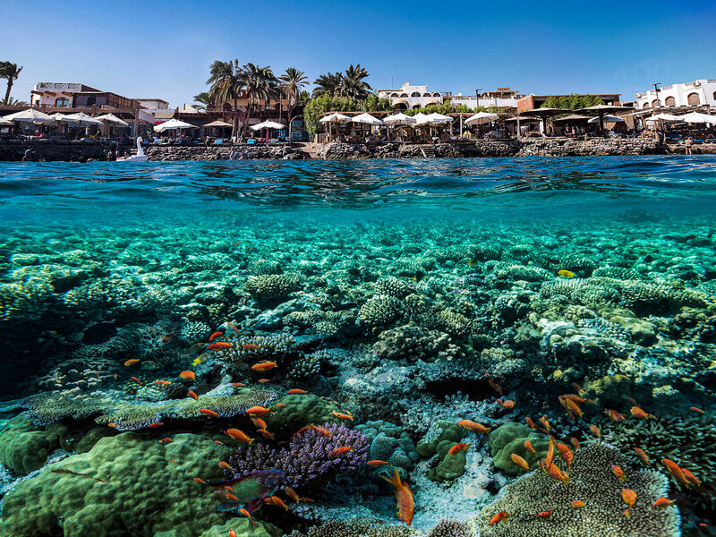 İstanbul Çıkışlı Bayram Özel  Ajet İle Sharm El Sheıkh Turu 4 Gece (315) 