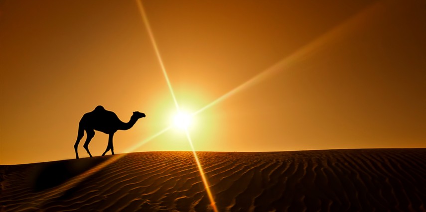 VİZE DAHİL BİR DUBAİ MASALI TURU  DUBAİ ŞEHİR TURU VE ABRA GEÇİŞİ DAHİL 4 Gece / 6 Gün Ajet Havayolları ile